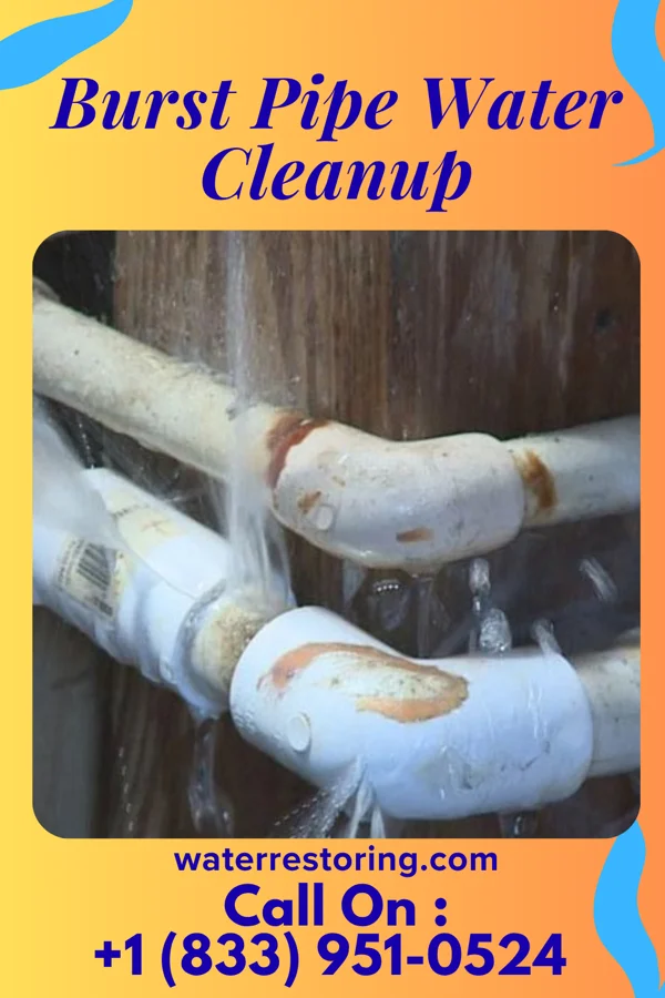 Burst Pipe Water Cleanup in Kingman, KS