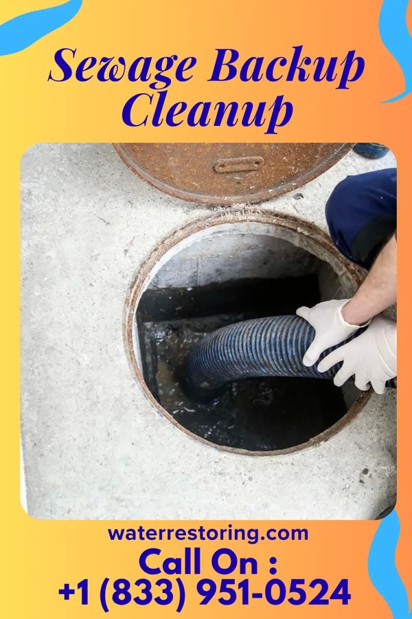 Sewage Backup Cleanup in Kingman, KS
